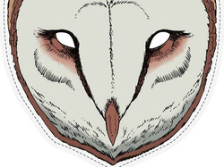 Maska Sowa Płomykówka 22x23 cm, 1 szt.