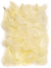 PIÓRKA Dekoracyjne Ozdobne ECRU Kremowe 5-12cm 10g