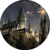 Opłatek tortowy 14 cm, Harry Potter 1 szt.