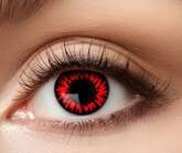 Soczewki tygodniowe, CZERWONY WILK, 1kpl.