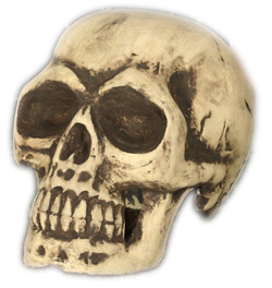 Sztuczna CZASZKA Czacha Głowa Halloween 32cm