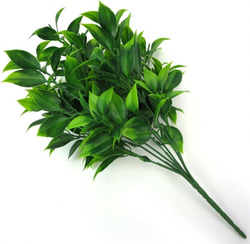 Gałązka ruskus 34cm 1 szt.