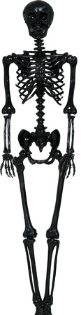 Czarny SZKIELET Człowiek KOŚCIOTRUP Halloween 160c