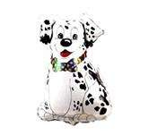 Balon foliowy 14" FX "Dalmatyńczyk siedzący" 1szt