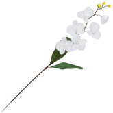 Storczyk gałązka 78cm 1 szt.