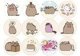 Muffiny na babeczki, Pusheen 1 kpl.