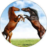 Opłatek tortowy 29 cm, Zwierzęta Koń 1 szt.