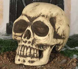 Sztuczna CZASZKA Czacha Głowa Halloween 32cm
