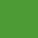 Serwetki 3-warstwowe 20 szt. zielone (Dark Green)