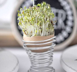 DRUCIK Metalowy Florystyczny SREBRNY 2mm 5m