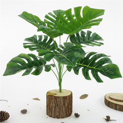 filodendron (monstera) - bukiet liście 32cm 1 szt.