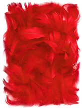 PIÓRKA Dekoracyjne Ozdobne CZERWONE 5-12cm 10g