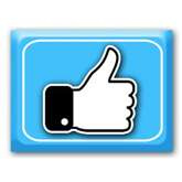 Naklejki na buty Like, 2 szt, 1 opak.