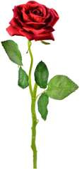 Sztuczna róża, czerwona, 40 cm, 1 szt.