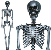 Srebrny SZKIELET Człowiek KOŚCIOTRUP Halloween 160