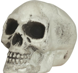 Ozdoba Dekoracja CZASZKI Czacha Halloween 8cm 6szt