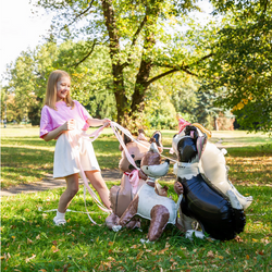 Balon foliowy Stojący Pies Border Collie 76x92cm