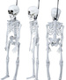 Biały SZKIELET Człowieka KOŚCIOTRUP Halloween 40cm