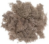 Mech Reniferowy Dekoracyjny Naturalny Brązowy 30g