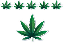 Girlanda Baner MARIHUANA Liście Konopi 300cm