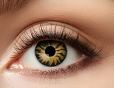 Soczewki 12 miesięczne, Pomarańczowe TYGRYS