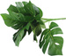 filodendron (monstera) - bukiet liście 32cm 1 szt.