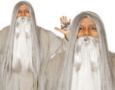 Peruka szara w pudełku, 1 szt.