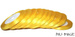 Tasiemka satynowa 6 mm, żółta