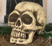 Sztuczna CZASZKA Czacha Głowa Halloween 32cm