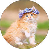 Opłatek tortowy 29 cm, Zwierzęta Kotek 1 szt.