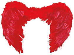 Skrzydła Anioł Czerwone Diablica Jasełka 50x40 cm