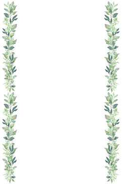 Bieżnik papierowy BLUSZCZ, 5m