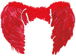 Skrzydła Anioł Czerwone Diablica Jasełka 50x40 cm