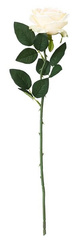 Róża gałązka bukiet kremowa  1 szt.