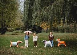 Balon Foliowy Stojący PIES JAMNIK Karta 89x58cm