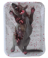 Dekoracja HALLOWEEN Gadżet Martwy Szczur Na Tacy