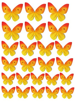 Figurki na babeczki, Motyle 1 kpl.