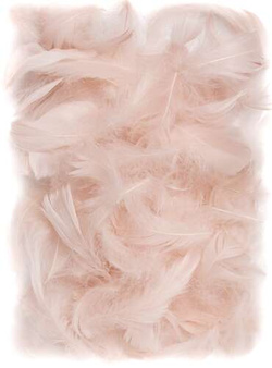 PIÓRKA Dekoracyjne Ozdobne NUDE 5-12cm 10g