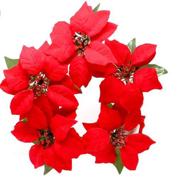 Stroik Świąteczny Wieniec Gwiazda Betlejemska 25cm