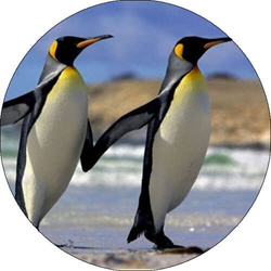 Opłatek tortowy 29 cm, Zwierzęta Zoo Pingwin 1szt.