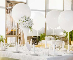 Balon G220 pastel kula 0,75m - biała 01 