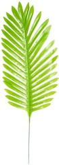 Sztuczny Zielony Dekoracyjny LIŚĆ PALMY 51cm