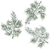 GAŁĄZKI Dekoracyjne TUJI Zielone Bielone 13cm 3szt