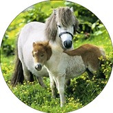 Opłatek tortowy 20 cm, Zwierzęta Koń 1 szt.