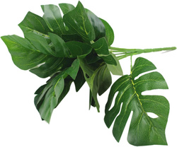 filodendron (monstera) - bukiet liście 32cm 1 szt.
