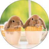 Opłatek tortowy 29 cm, Zwierzęta Króliczki 1 szt.