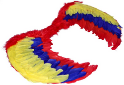 Skrzydła kolorowe 80x50 cm, 1 szt.