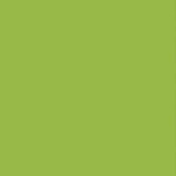 Serwetki 3-warstwowe 20 szt. zielone (Grass Green)
