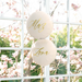 Balon Foliowy MĄŻ Para Młoda Ślub Wesele 45cm