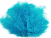 Piórka Turkus  10-12cm op. 50szt.